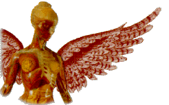 Science Woman With Wings
